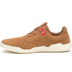 Cat DACHSHUND -ADIDAS Shop medias 1000905380 02 X X 20230222145656